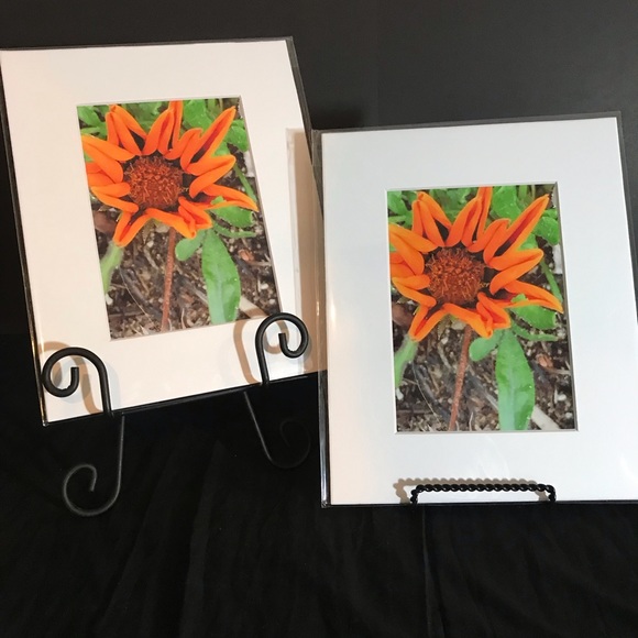 Art Photography - Picture 1 of 3